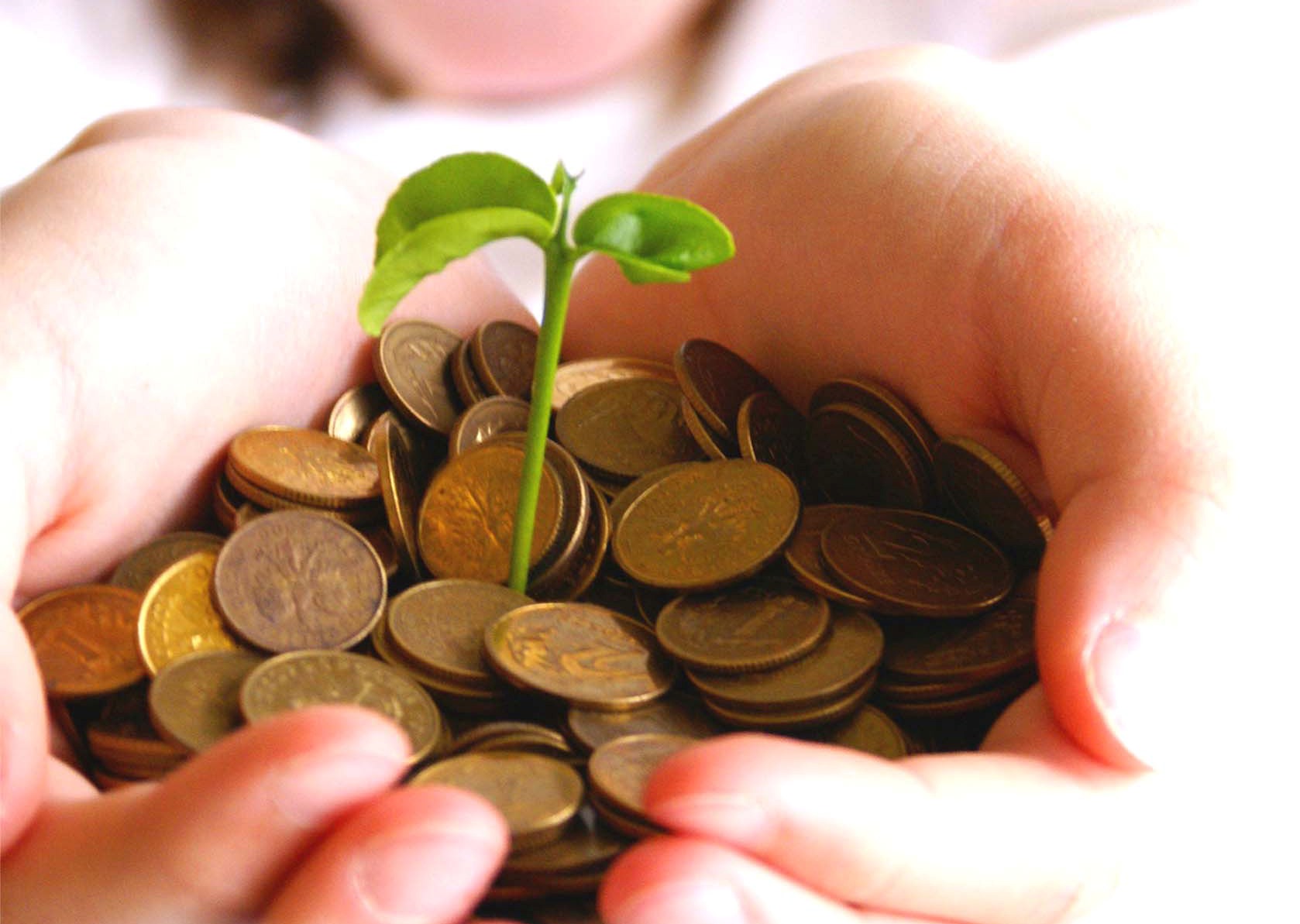 EM Habilidades Educacion Financiera